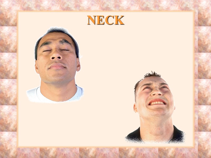 NECK